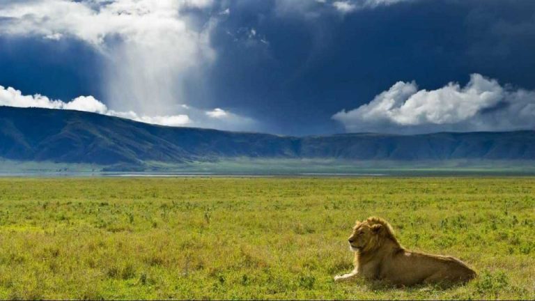 Ngorongoro Conservation Arae