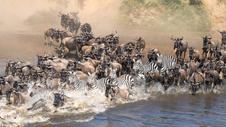 great migration